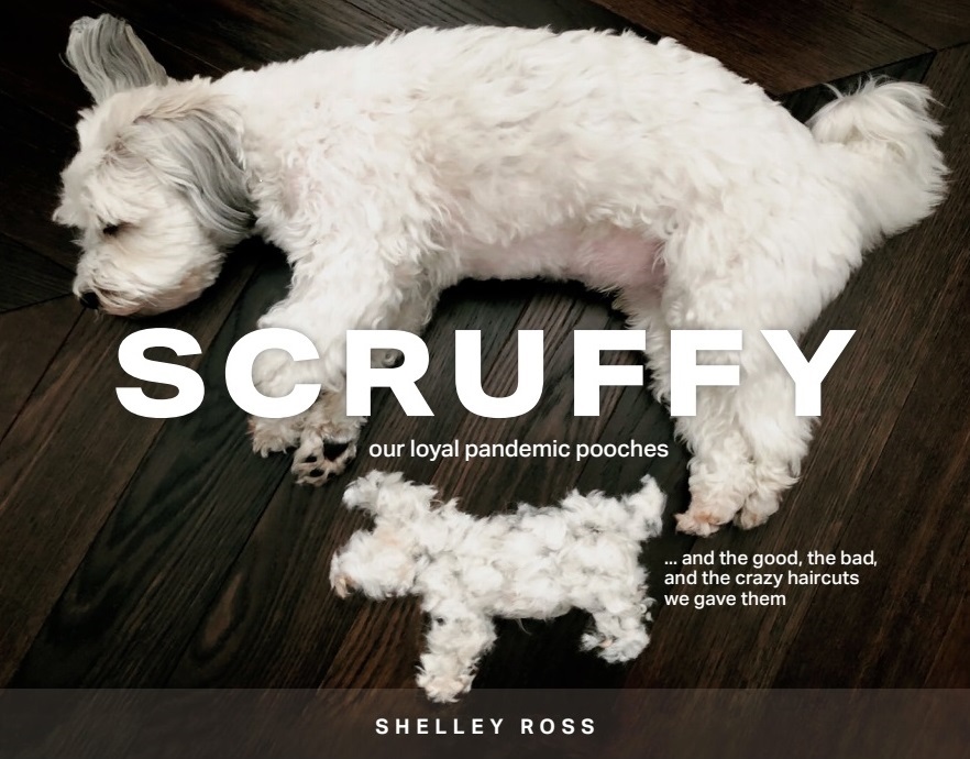 Scruffy by Shelley Ross Book